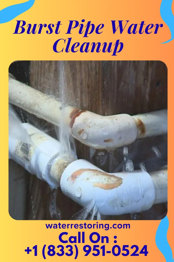 Burst Pipe Water Cleanup in Celeryville, OH