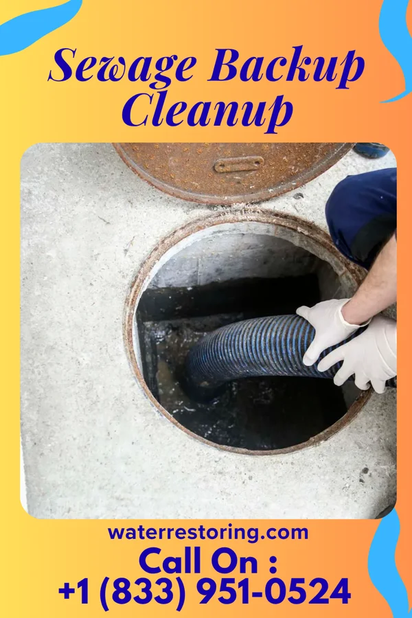 Sewage Backup Cleanup in Celeryville, OH