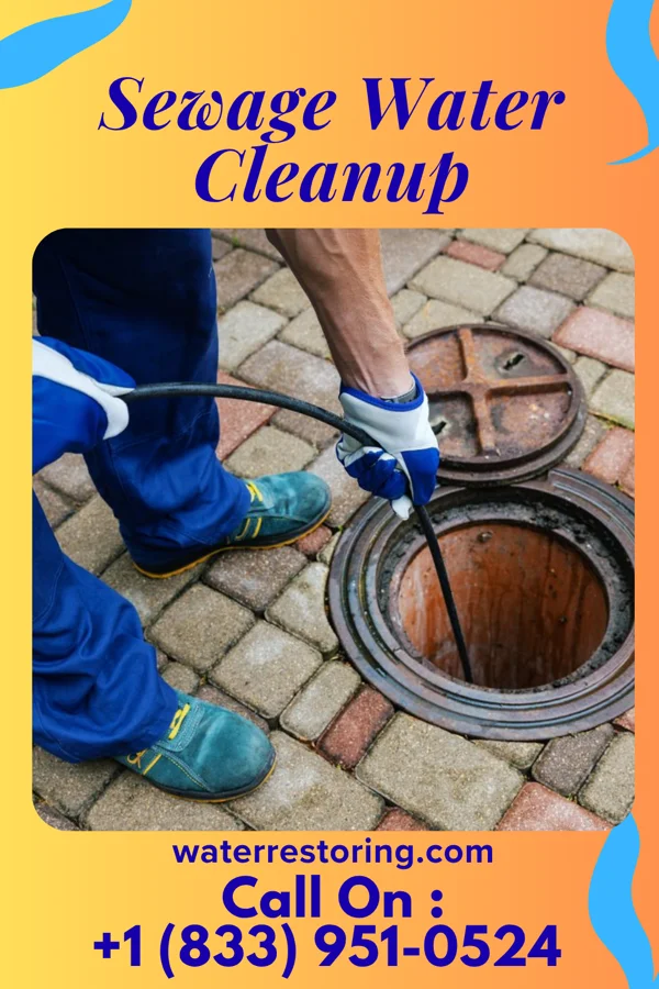 Sewage Water Cleanup in Celeryville, OH