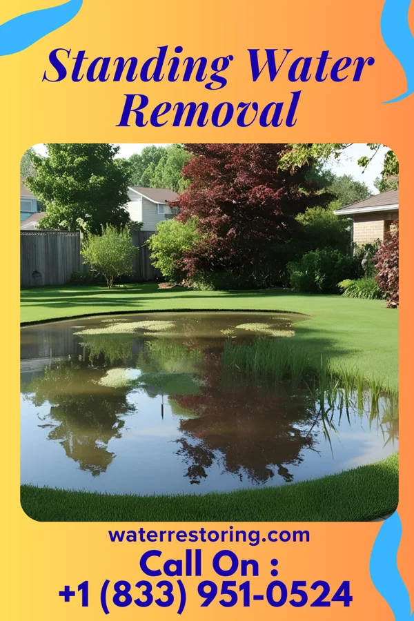 Standing Water Removal in Celeryville, OH